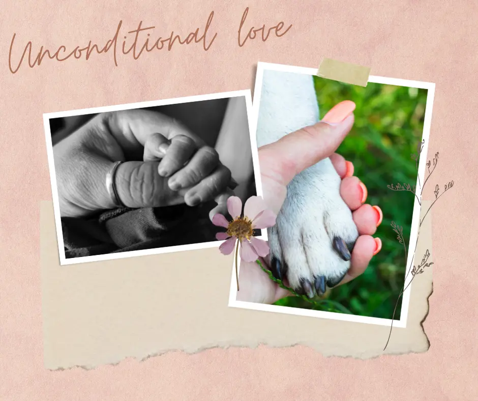 Unconditional love 